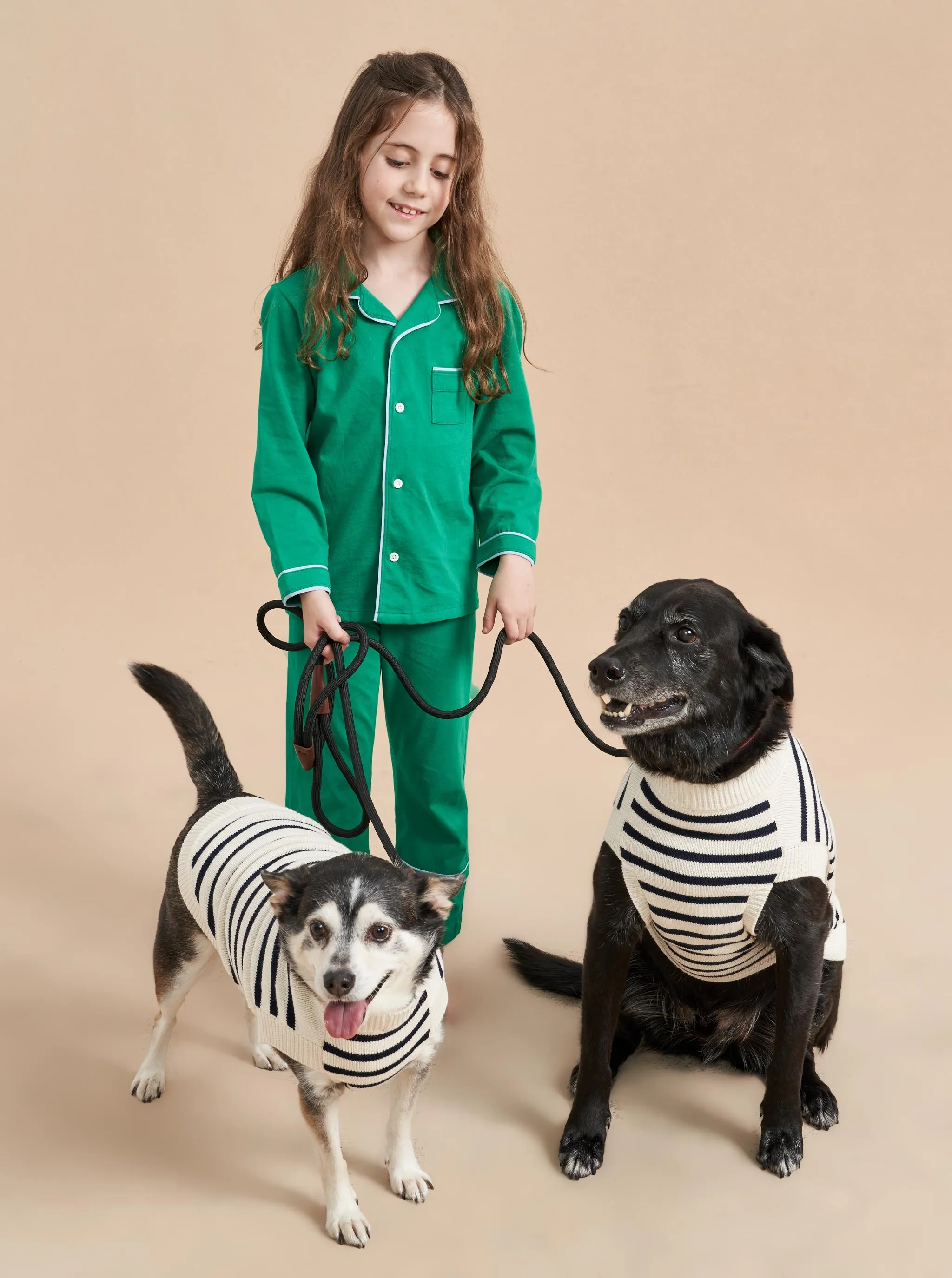 Chien Sweater