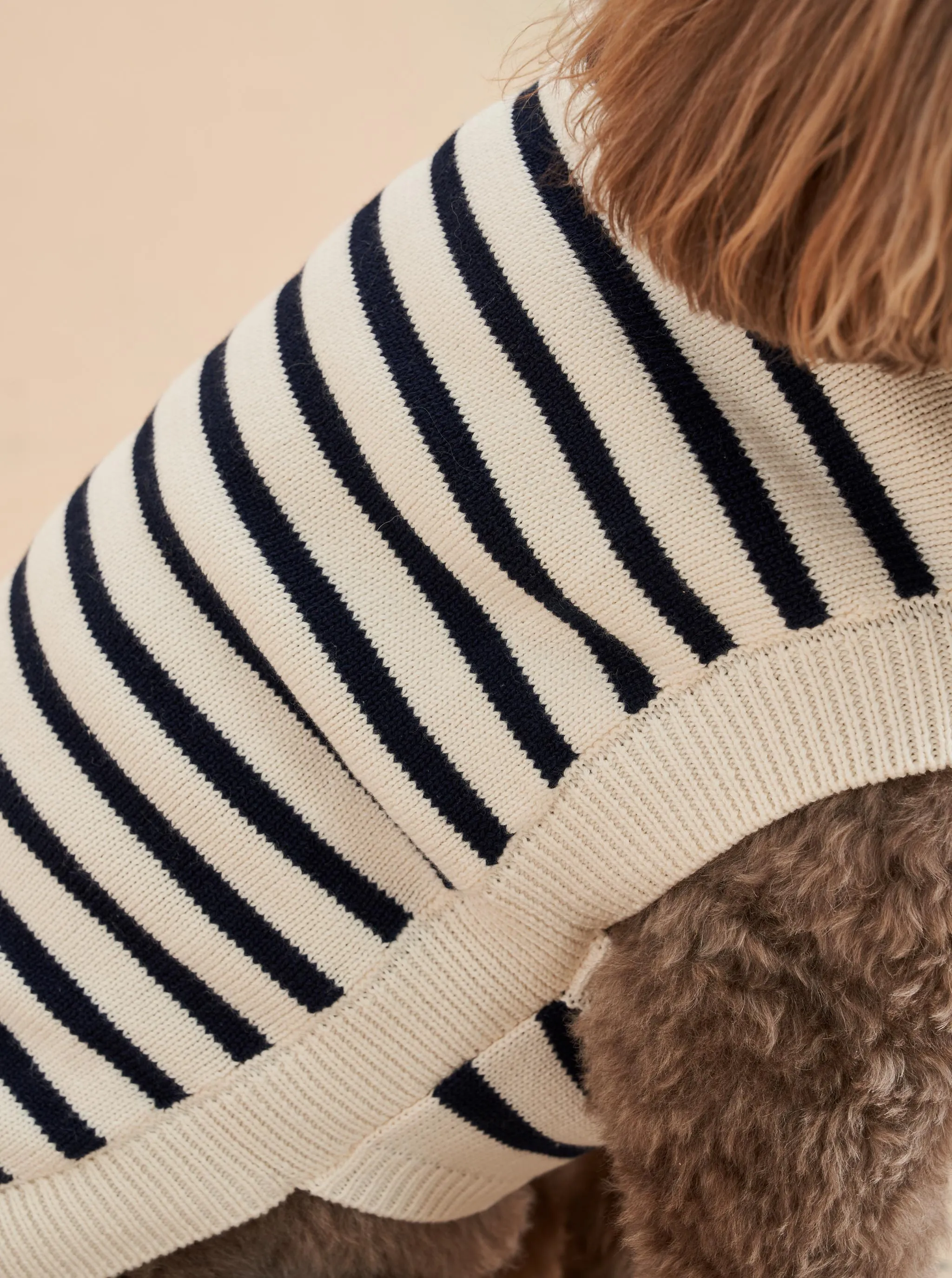 Chien Sweater