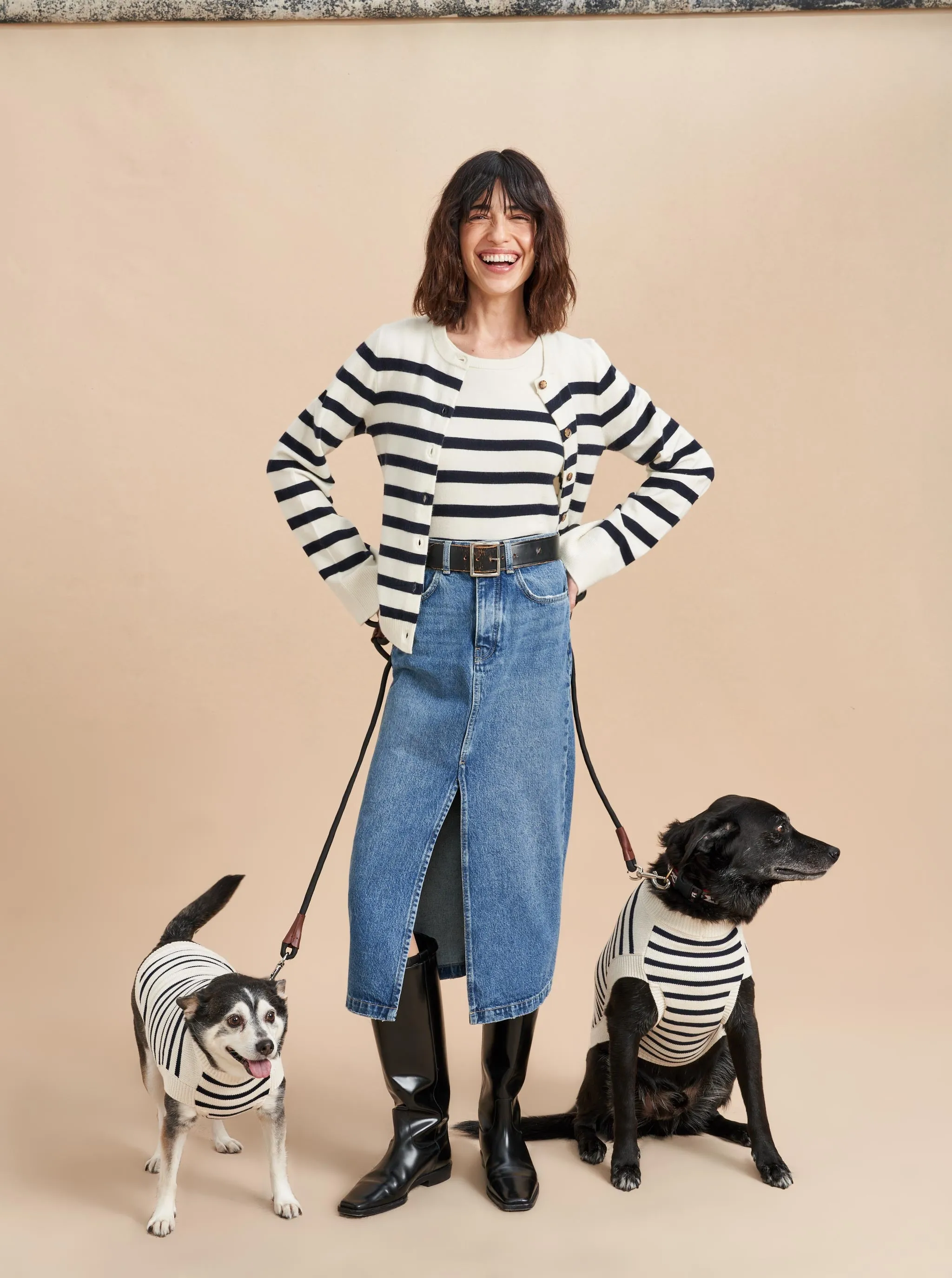 Chien Sweater