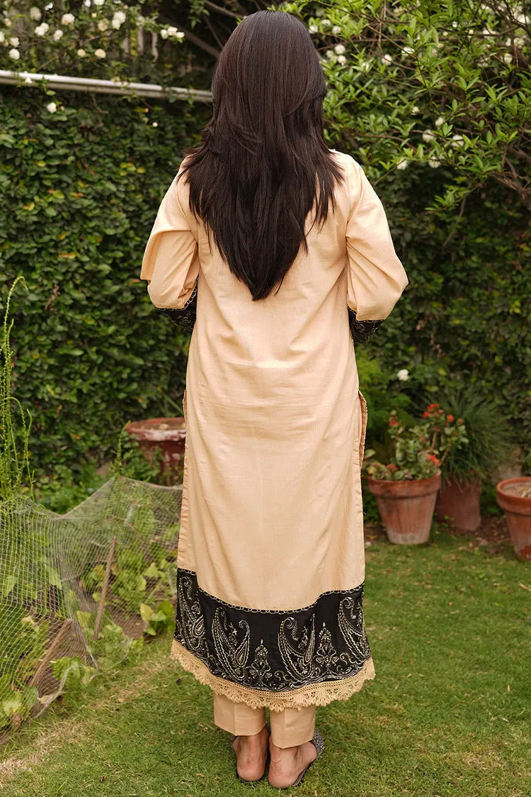 Embroidered Lawn Texture Suit P1059 - 3 Piece