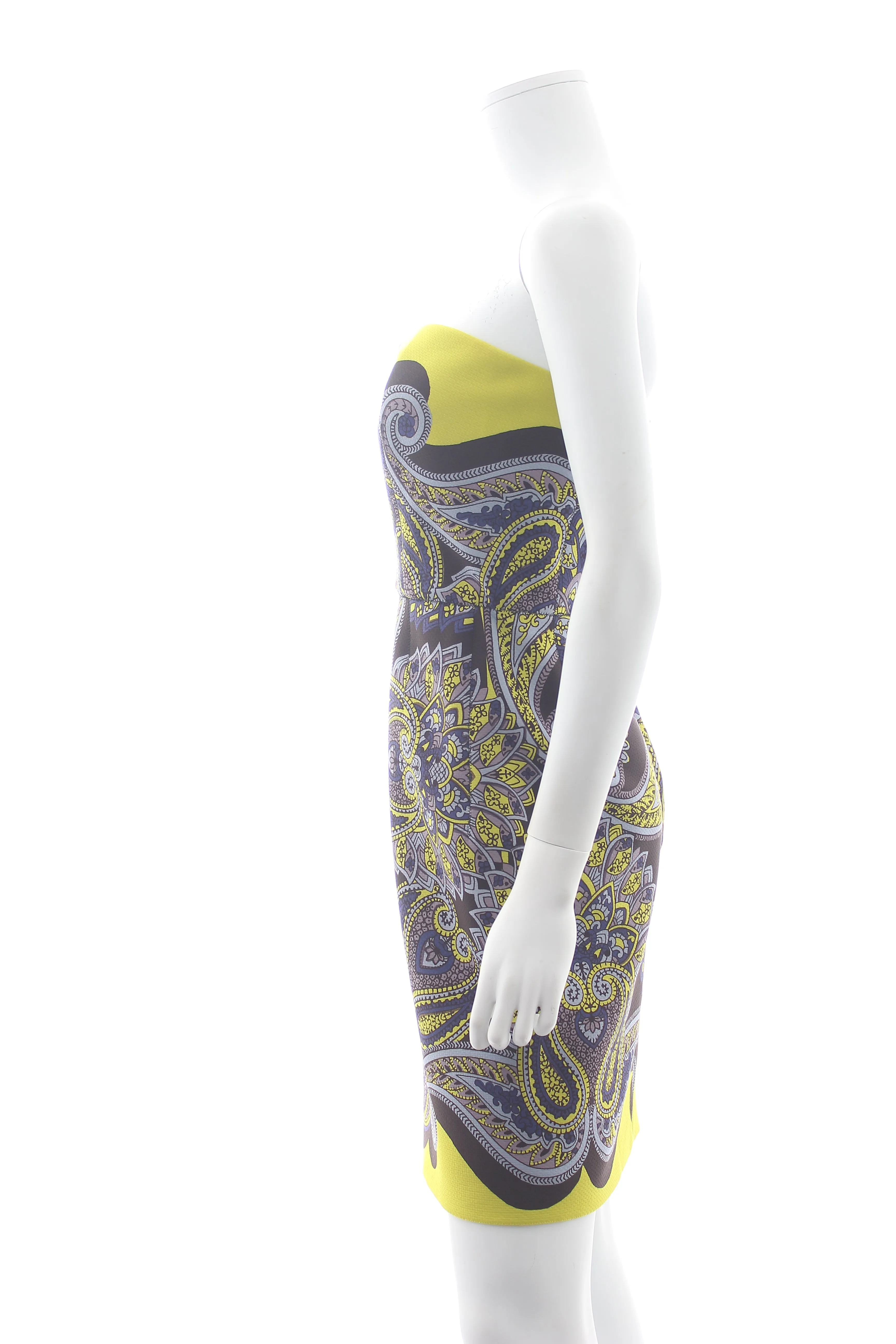 Lanvin Paisley Printed Strapless Dress